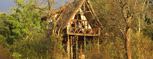 treehouse-ngong
