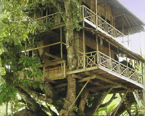 treehouse-papuang