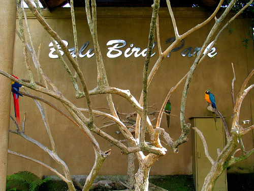 Bali Bird Park - Photo by Flickr's A.www.viajar24h.com