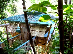 treehouse-bamboo