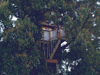 treehouse-nahiku